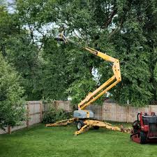 Best Firewood Processing and Delivery  in Rio, VA